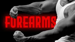 How To Build Massive Forearms!