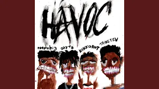 HAVOC (feat. 884Phxbia & Skyte)