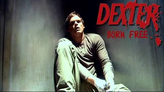 Dexter: Born Free - Season 1 Episode 12 Review