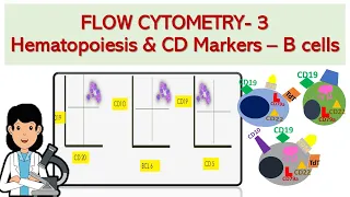 Flow cytometry -3  | Acute lymphoblastic leukemia &  lymphoma - What you NEED to know!!!