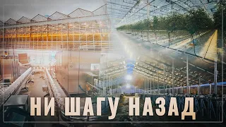 Россию уже не остановить. По всей стране открываются новые предприятия АПК и пищевой промышленности