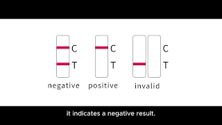 Avian disease serum antibody rapid test kits, such as avian influenza, for poultry diseases.