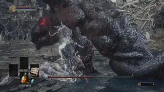 Dark Souls 3 Shield Only Run Iudex Gundyr