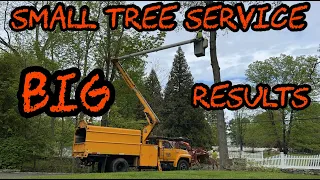 #225 Small Tree Service BIG Results! Oak Tree Removal with Wicked Grapple