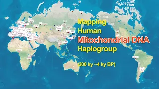 Where did the mtDNA haplogroups live?