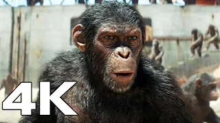 KINGDOM OF THE PLANET OF THE APES Official Trailer 2 (4K ULTRA HD)