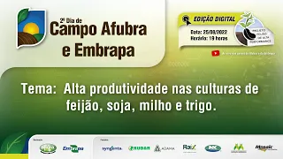 Manejo para altas produtividades nas culturas de feijão, soja, milho e trigo - 2º Dia de Campo