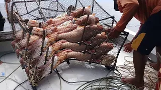 Amazing Unique Trap Catching Fish Skills - Fishermen Catch a Lot of Fish on the Boat