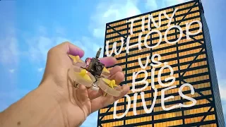 TINY WHOOP vs BUILDING DIVES