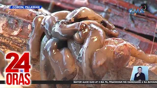 Tamilok o woodworm, exotic delicacy at dagdag kabuhayan sa mga taga-Coron | 24 Oras