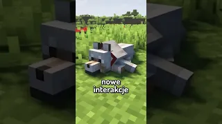 Pomysły, które mogą być w Minecraft APORTOWANIE #shorts