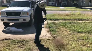 Free neglected FRONT YARD CLEANUP with a push mower