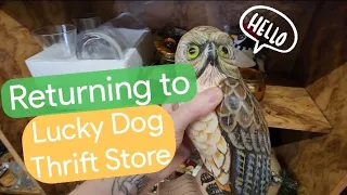 Returning to Lucky Dog Thrift - Shop Along With Me - Thrift Stores