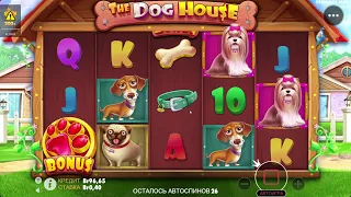 70 СПИНОВ В DOG HOUSE !!! В ПОИСКАХ БОНУСА !!!