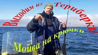 Морская рыбалка, Баренцево море. Май-2022/Sea fishing, Barents Sea. May-2022