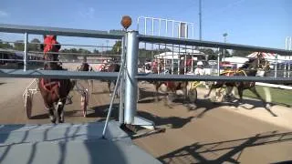 Harness Racing from the Starting Car