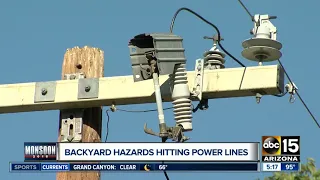 APS: Secure bulky items in backyard to avoid power outages during monsoons