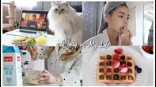 LIFE IN KOREA 🇰🇷 WHAT I EAT IN A DAY - NOVEMBER VLOG | Erna Limdaugh