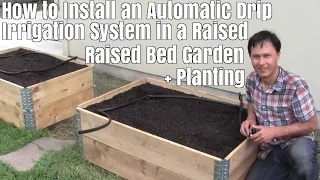How to Install a Automatic Drip Irrigation System in a Raised Bed Garden