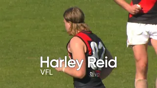 Harley Reid - Huge VFL Performance! - Round 20