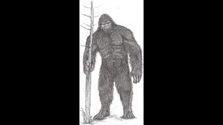 Tom Cantrall Forks Washington Sasquatch Days 2022