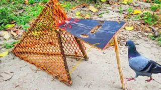 Simple Unique Bird Trap Using Net & Wood | Amazing Technique To Make Pigeon Trap Easy