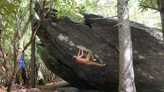 Pastafarian v9, Grayson Highlands