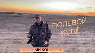 Полевой коп!Чешуя и серебряный крест!