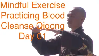 Mindful Exercise/Practicing Blood Cleanse Qigong - Day 01