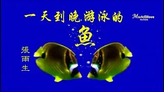 張雨生  《一天到晚游泳的魚》🐋 魚不停游  從來不想回頭 不問天長地久 🐳🐋🐟 ... ♥ ♪♫*•