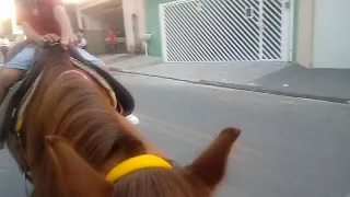 De agora Arthur andando de cavalo