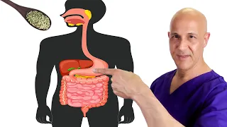Nature's Tiny SEED That Heals Digestive Problems (Gas, Bloating, Acid Reflux)  Dr. Mandell