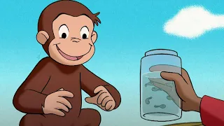 Georges le Petit Singe 🐵 Georges et la tétards 🐵Saison 1  🐵 Dessins Animés