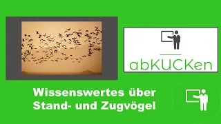 Stand- und Zugvögel — Vogelkunde – Sachunterricht – Grundschule