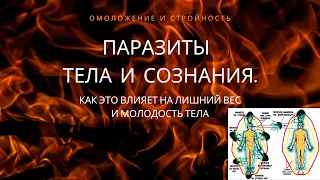 Оксана Довгань– паразиты тела и сознания. Как это влияет на вес?!