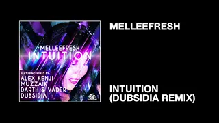 Melleefresh / Intuition (Dubsidia Remix)