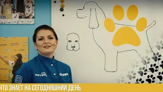 МК породный груминг кокера 0+