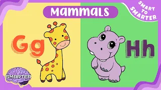 Mammals Alphabet | Drawing Animals | By Two | ABC |  Smart to Smarter | Fun ways to Learn