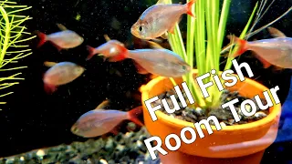 Fish Room Tour, Over 100 Tanks and Ponds #fishroom #aquarium #guppy #viral #tropical