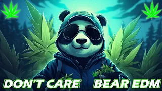 BEAR EDM 🔥 Mashups & Remixes Of Popular Songs 🔥 DJ Remix Club Music Dance Mix 2024 🔥 Don't Care