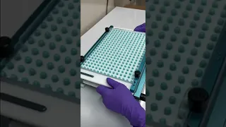 This is how a capsule is made in the Pharmaceutical Industry!