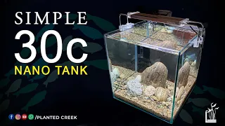 Nano Tank 30C #plantedcreek