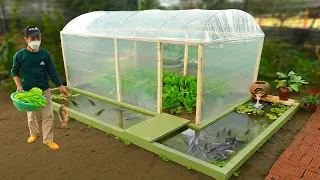 DIY cheap greenhouse combined with aquarium for my wife | Organic vegetables