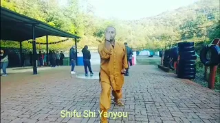 Shaolin Qi Xing Quan and Applications- Shifu Kanishka