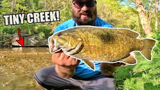 Fishing TINY Creeks for BIG Smallmouth Bass! - Ohio River Tributaries