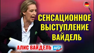 Германия на краю ПРОПАСТИ/Алис Вайдель: "Они ненавидят Германию..."