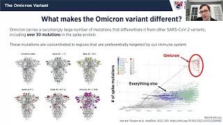 SHIELD Illinois Webinar: Endemicity and the Omicron Variant