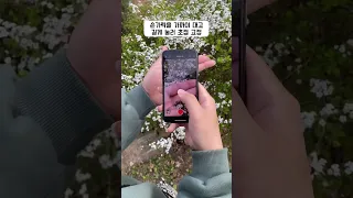 스마트폰 촬영 꿀팁! 꽃 영상 예쁘게 찍는법!
