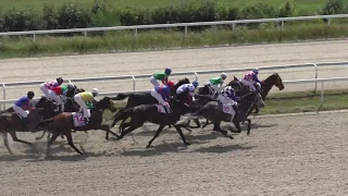 28.07.2019 - Большой Пятигорский приз Дерби - Мебибайт