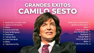 Camilo Sesto Todos Sus Grandes Exitos Inolvidables Las ~ Mejores Canciones De Camilo Sesto ~ 70s 80s